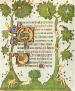 Libro dore Isabella di Castiglia. Ms. 76 F. 6. Miniatore della scuola si Giovannino de Grassi. Motivo decorativo, LAja, Koninkliske Bibliotheek - (clic aqui paa ampliar informacin)