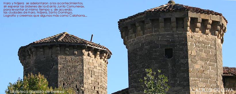 Castillo construido por Antonio de Leiva en el siglo XVI para conmemorar la batalla de Pava. De planta rectangular con cuatro torreones.